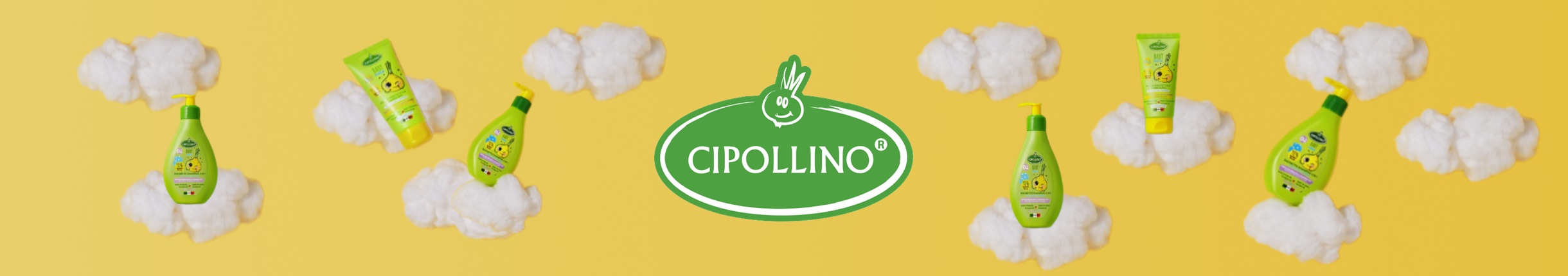 CIPOLLINO