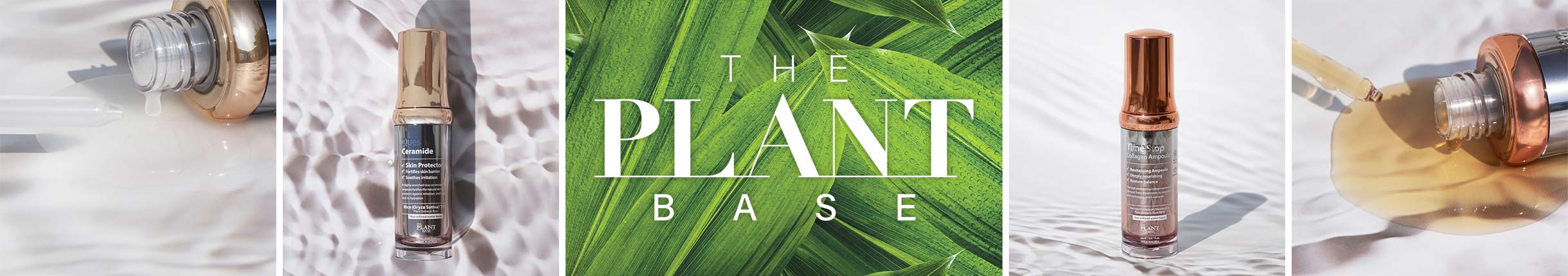THE PLANT BASE