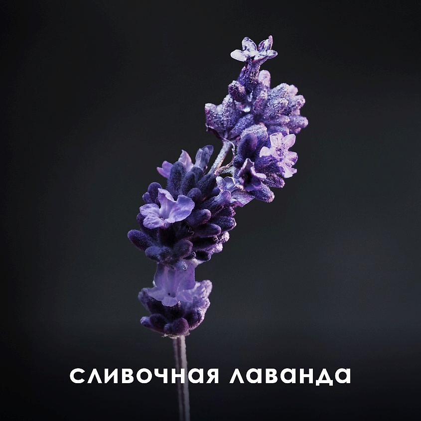 RABANNE Phantom – фото 8