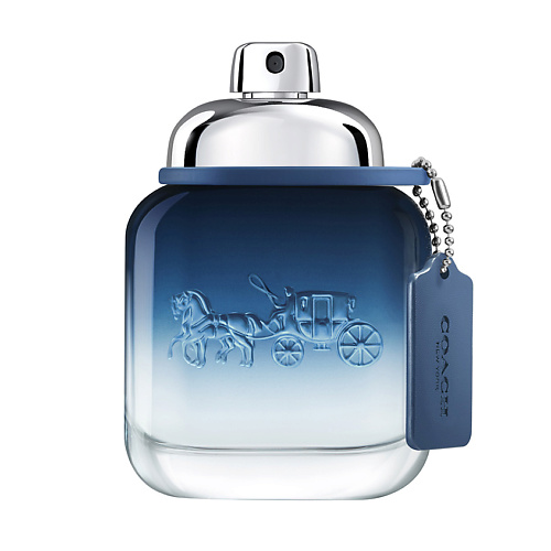 COACH Blue 40