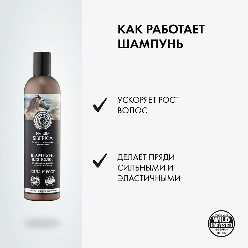NATURA SIBERICA Шампунь для волос "Сила и Рост" Медовый Кумыс – фото 2