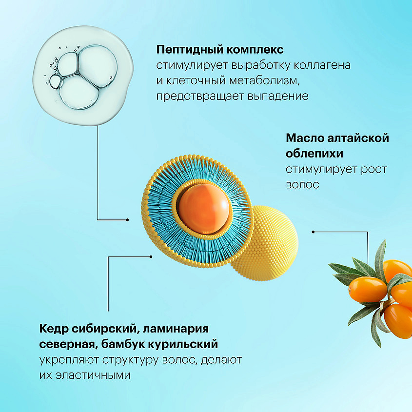 NATURA SIBERICA Тоник Пептидное укреплениерост ослабленных и выпадения  Oblepikha Siberica – фото 2