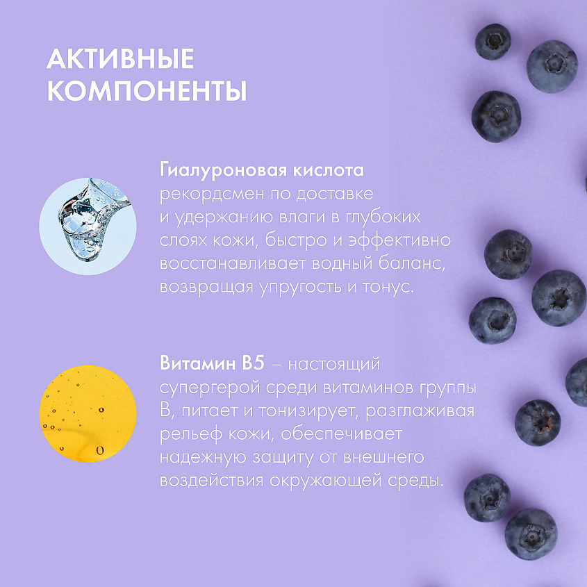 NATURA SIBERICA Тоник-мист для лица "Увлажняющий" Blueberry Siberica – фото 2