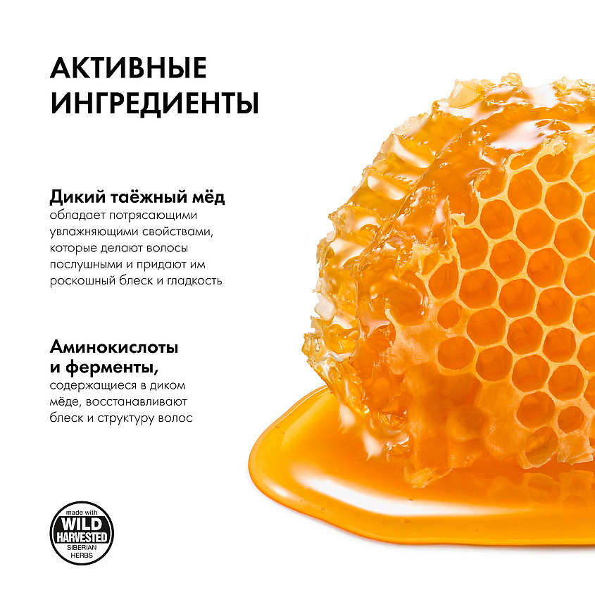 NATURA SIBERICA Шампунь для волос "Сила и Блеск" Медовый Кумыс – фото 3