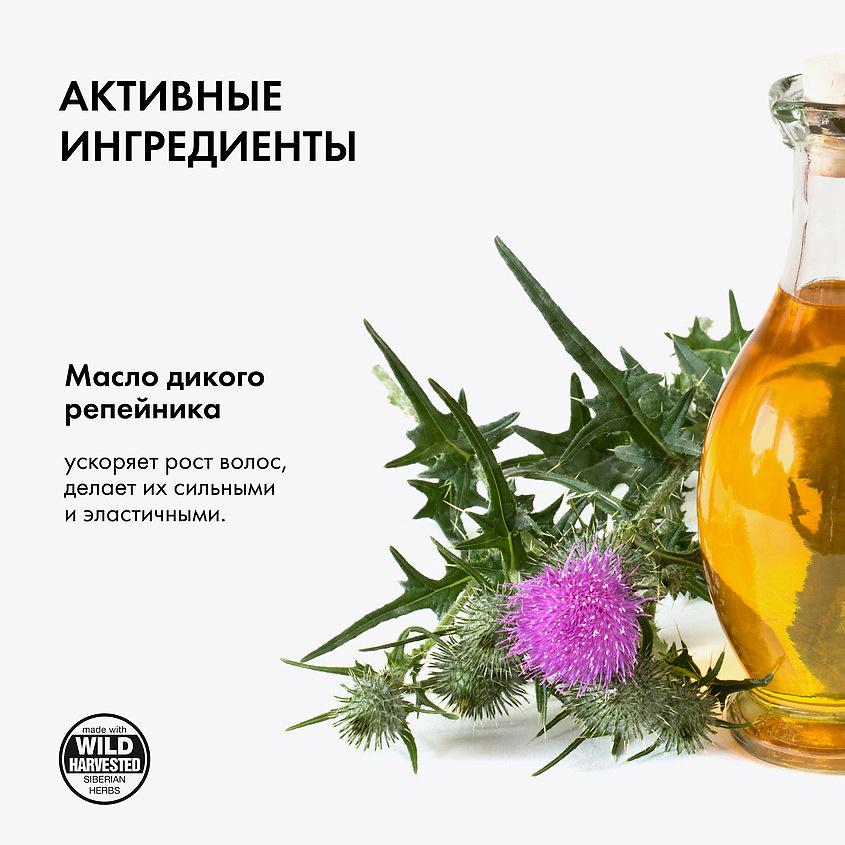 NATURA SIBERICA Шампунь для волос "Сила и Рост" Медовый Кумыс – фото 3