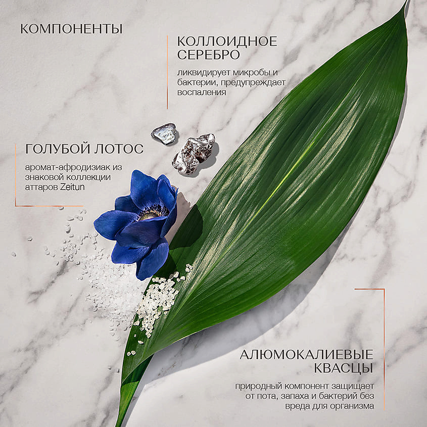 ZEITUN Дезодорант спрей-антиперспирант минеральный "Голубой лотос" Ritual of Purity – фото 7