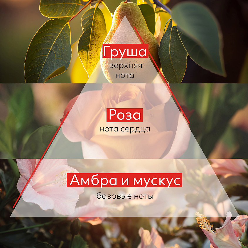 MISSHA Парфюмированная дымка Груша и Роза Dare для тела и волос – фото 4