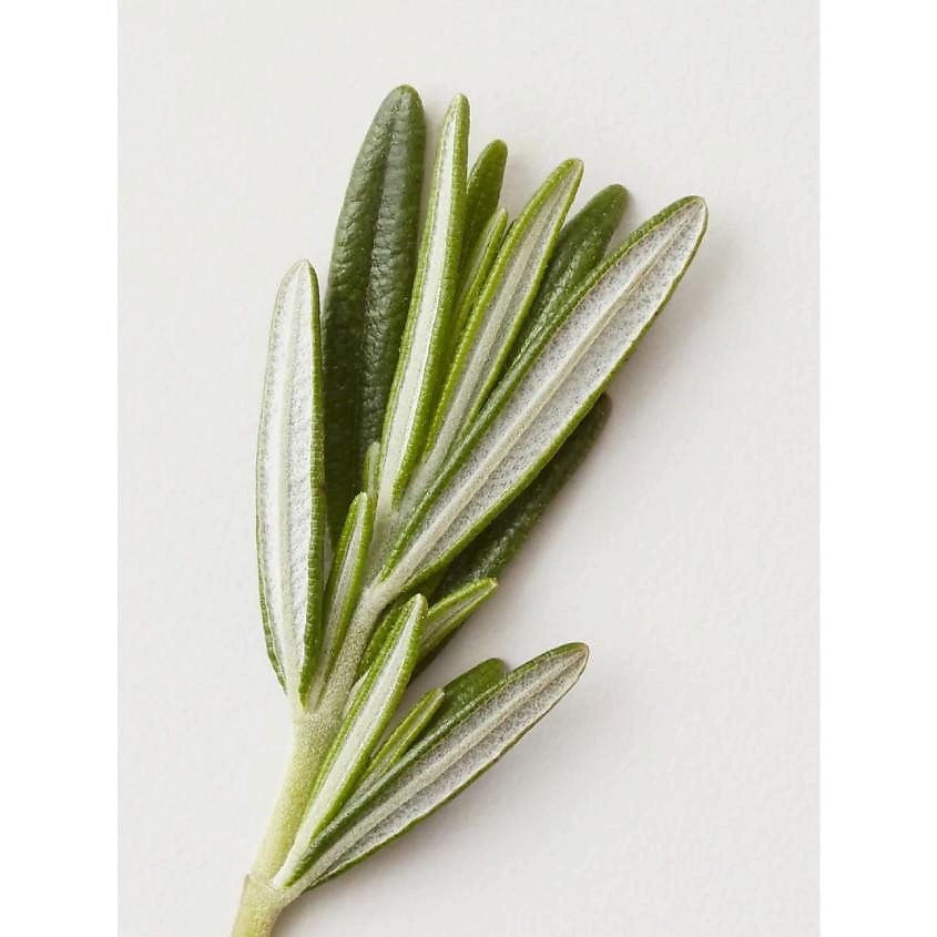 AG HAIR COSMETICS Паста для укладки волос с глиной Stucco Matte Clay Paste – фото 3