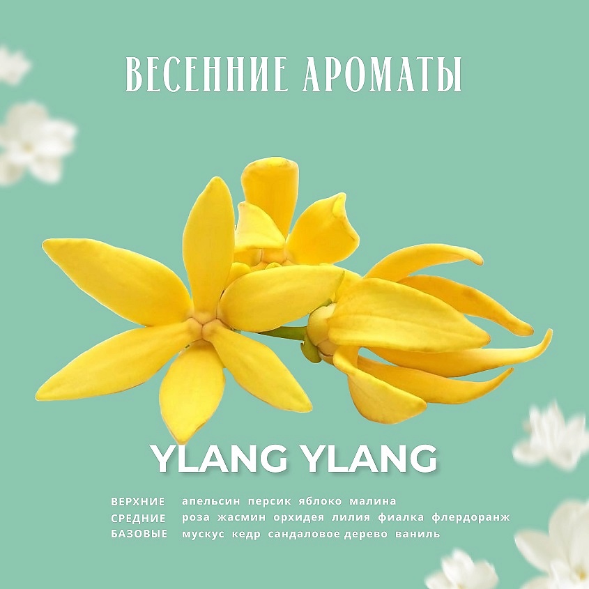 KUNDAL Мист для тела ароматический Иланг-иланг Ylang Ylang Body Mist – фото 4