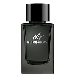 Mr. Burberry Eau de Parfum