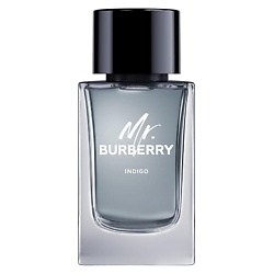 Mr. Burberry Indigo