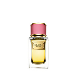 Velvet Collection Rose