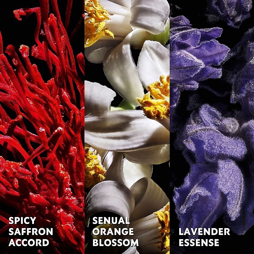 YSL Libre Le Parfum – фото 4