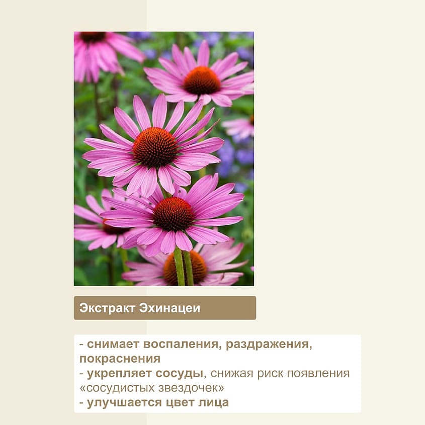 LULULUN Маска увлажнение и улучшение цвета лица FACE MASK CLEAR WHITE – фото 5