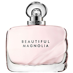 Beautiful Magnolia
