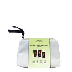 Наборы для волос SYSTEM4