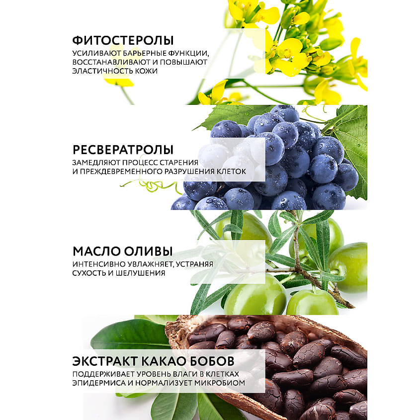 DR. SEA Крем для тела детокс и лифтинг с фитостеролами и ресвератролом Detox & Lifting Body Cream – фото 3