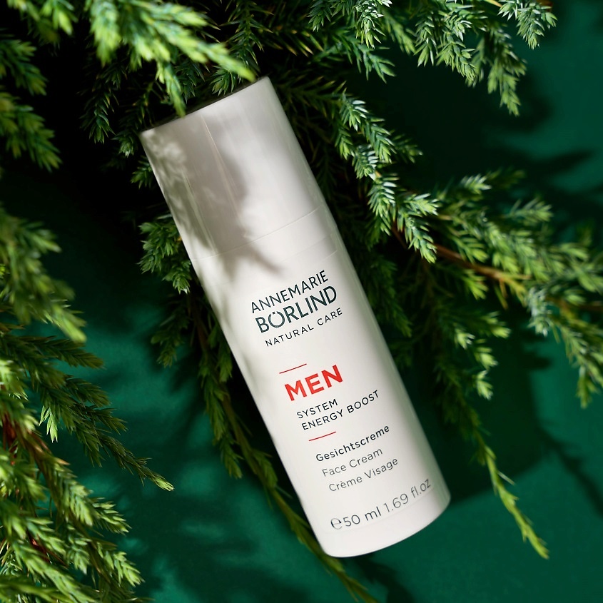 ANNEMARIE BORLIND Крем для лица для мужчин Men Face Cream – фото 3