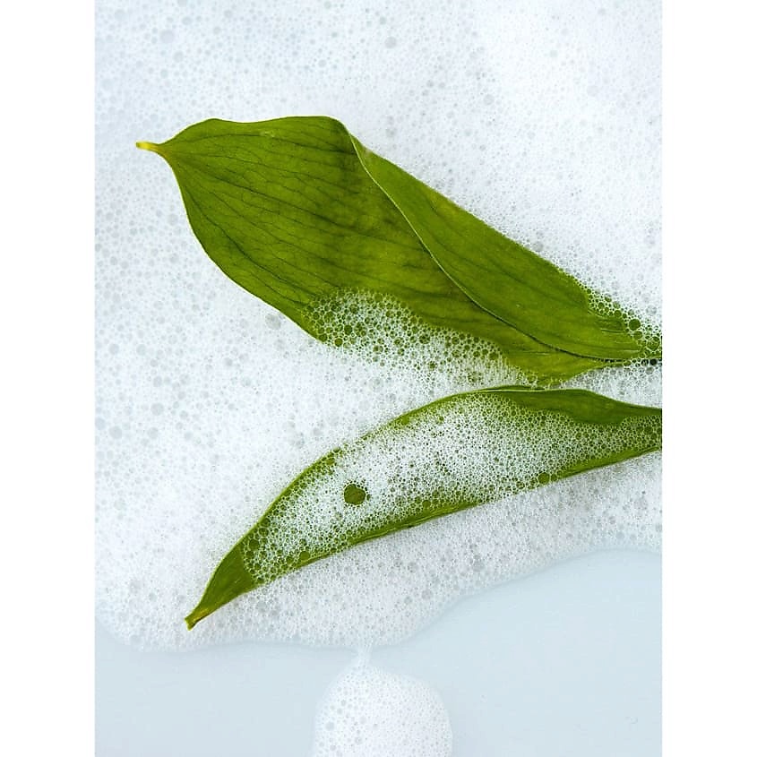 ARAVIA LABORATORIES Пенка для умывания с муцином улитки и гинкго билоба Energy Skin Foam – фото 5