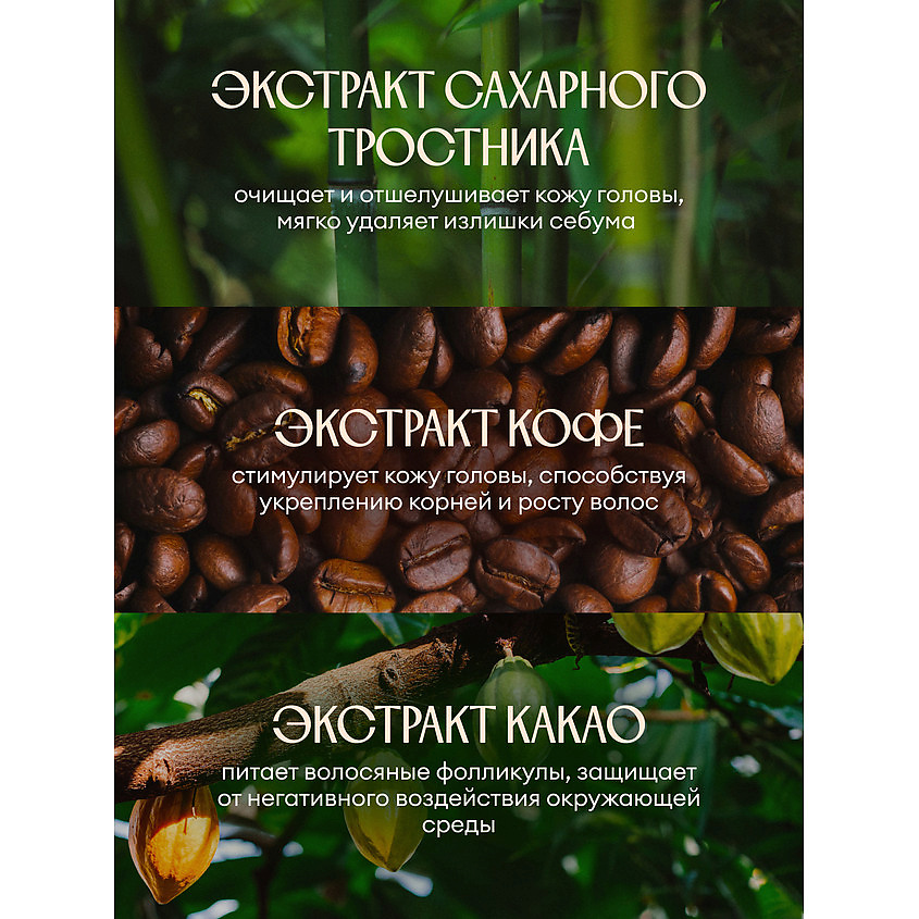 SOLZAO Шампунь для волос "Защита и укрепление" Cafezinho Therapy – фото 11