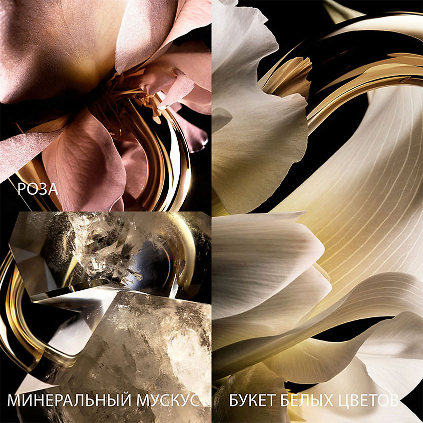 RABANNE Million Gold For Her – фото 4
