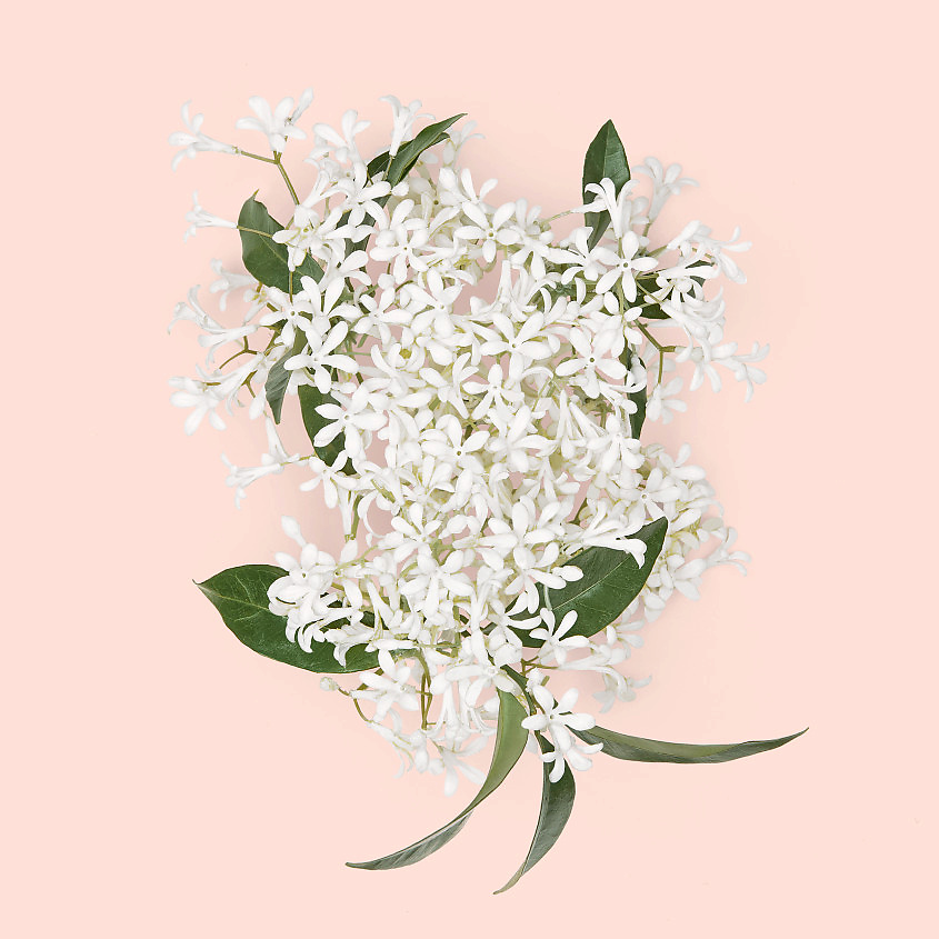 GUCCI Bloom Intense – фото 6
