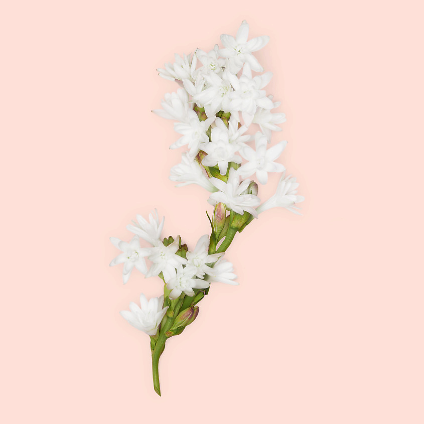 GUCCI Bloom Intense – фото 5
