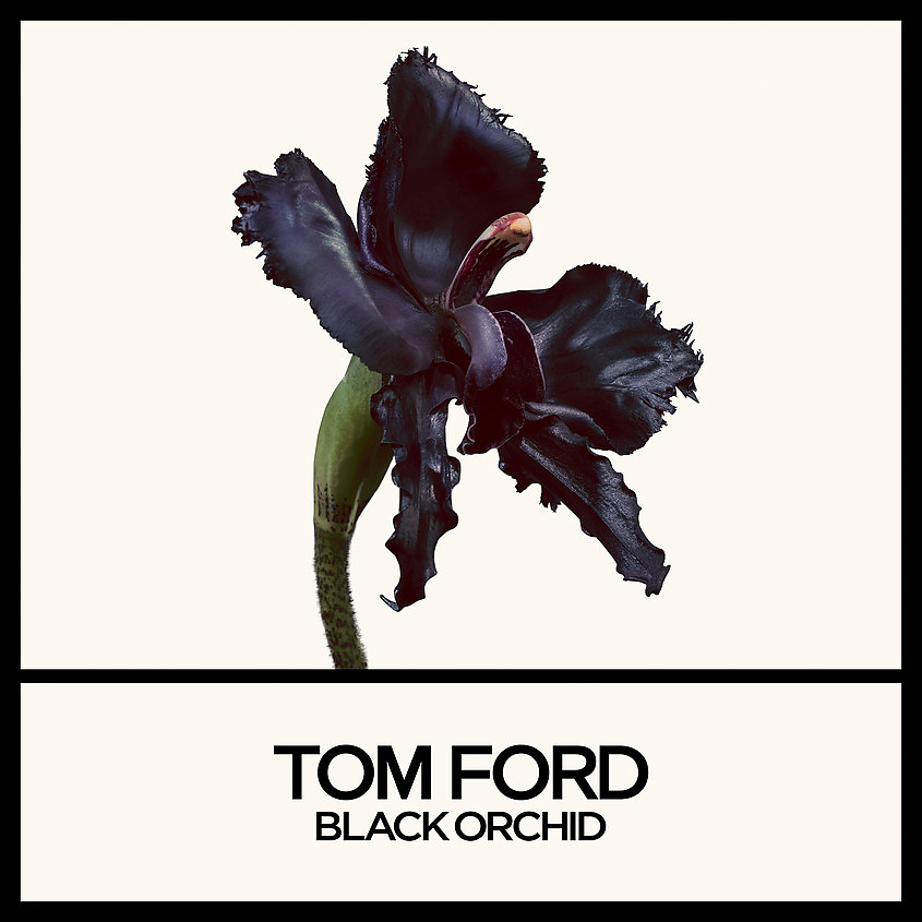 TOM FORD Black Orchid Reserve – фото 3