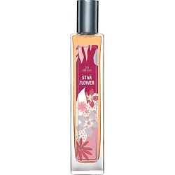 Грезы ЗВЕЗДНЫЙ ЦВЕТОК DAY DREAMS STAR FLOWER