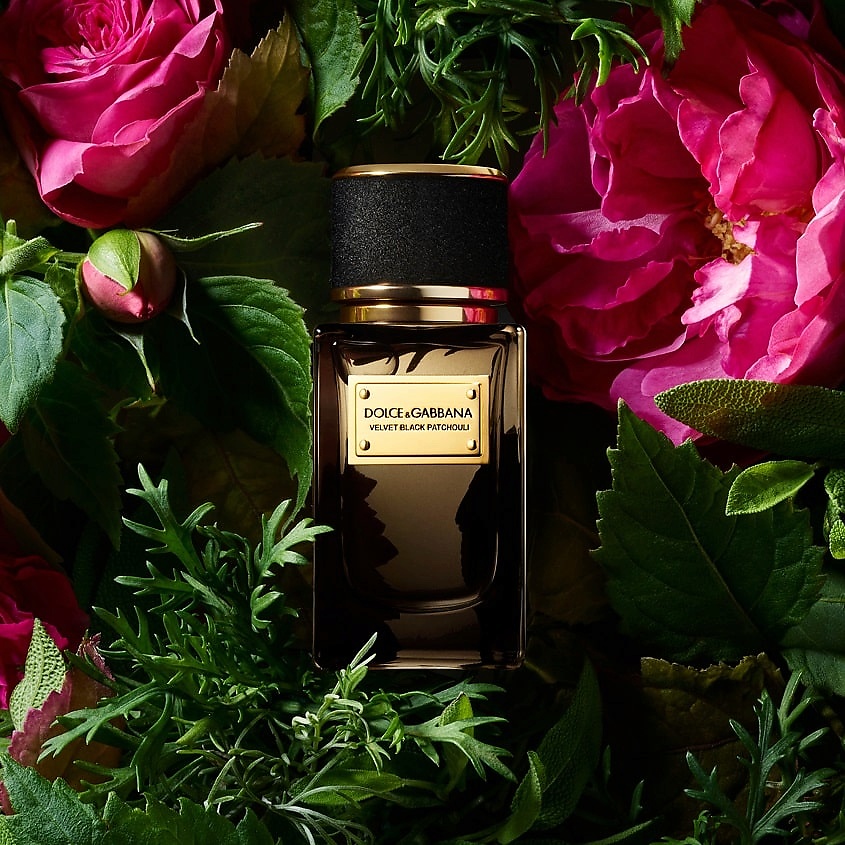 DOLCE&GABBANA Velvet Collection Black Patchouli – фото 10