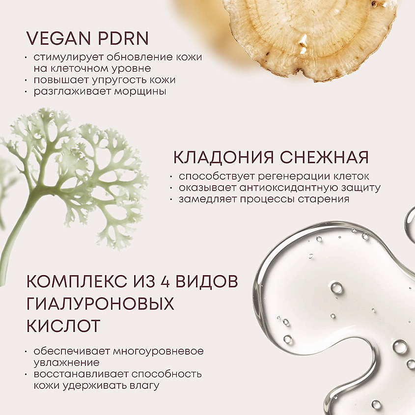 NATURA SIBERICA Увлажняющий спрей-тоник для лица Vegan Pdrn Anti - Age – фото 4