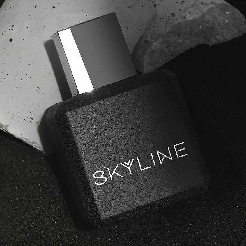SKYLINE Skyline – фото 3