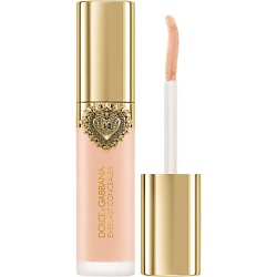 Увлажняющий консилер для упругости кожи, стойкость 24 часа Everlast Concealer